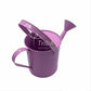 Original Trida Watering Can with 2 Handles